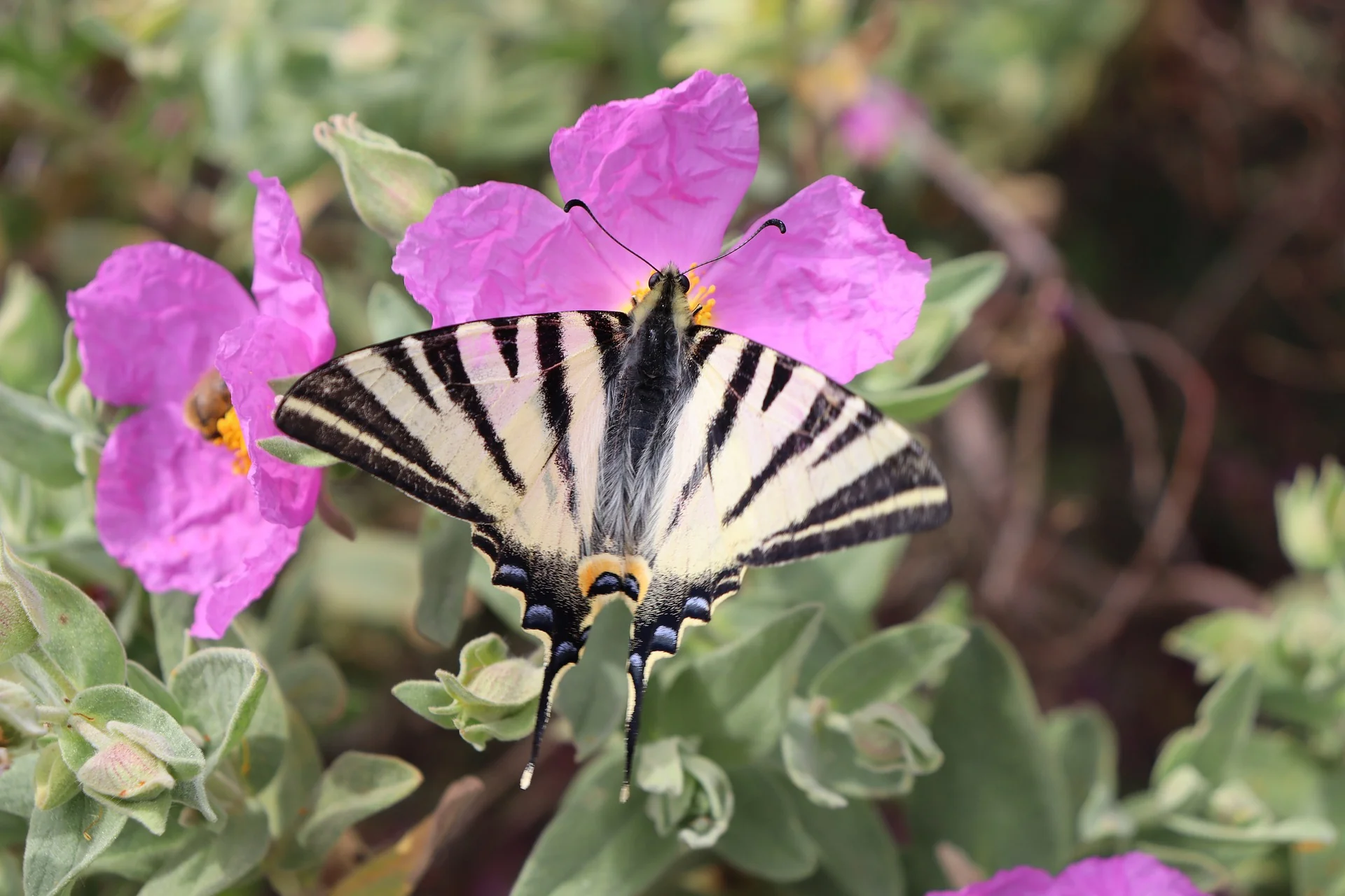 Thumbnail 10